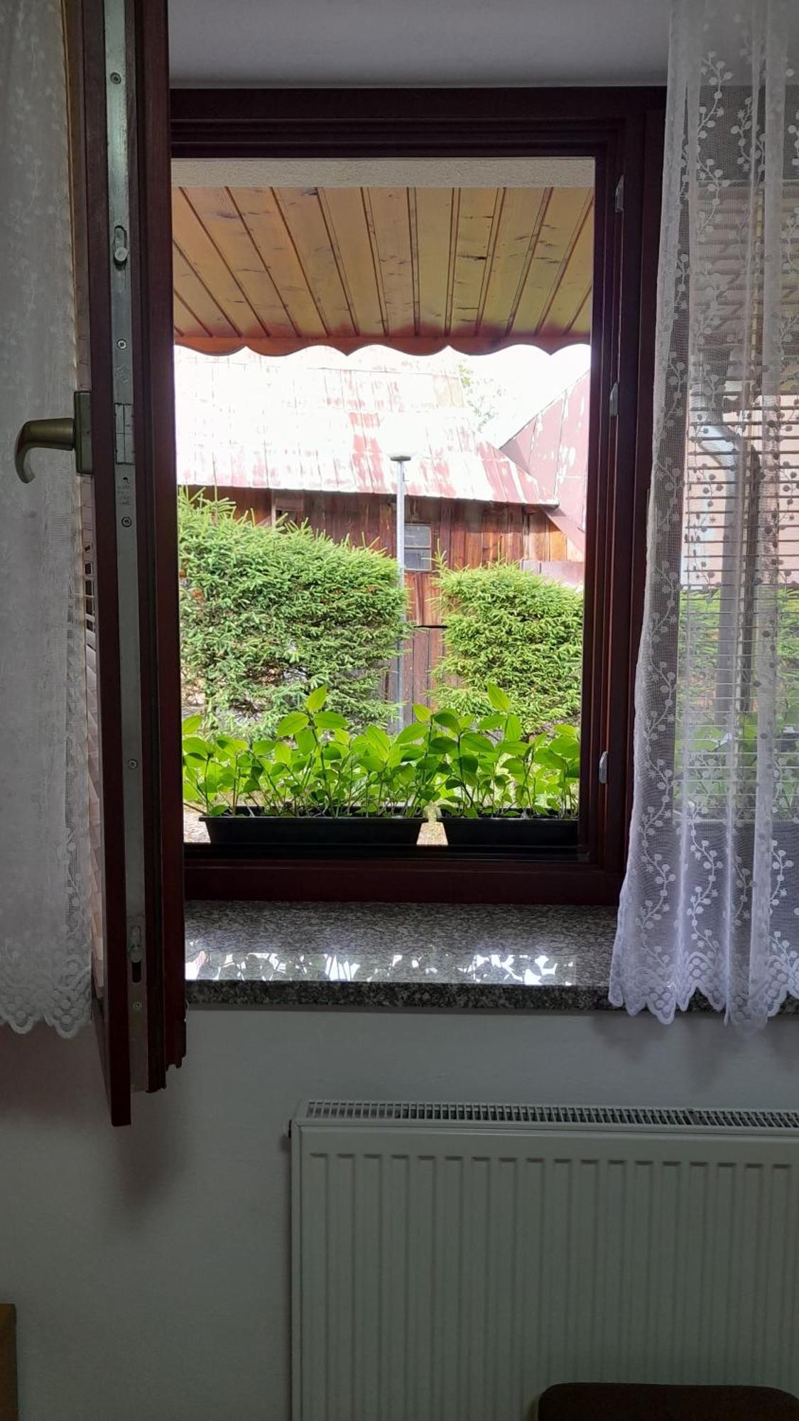 Penzión Bachleda Ždiar Exterior foto